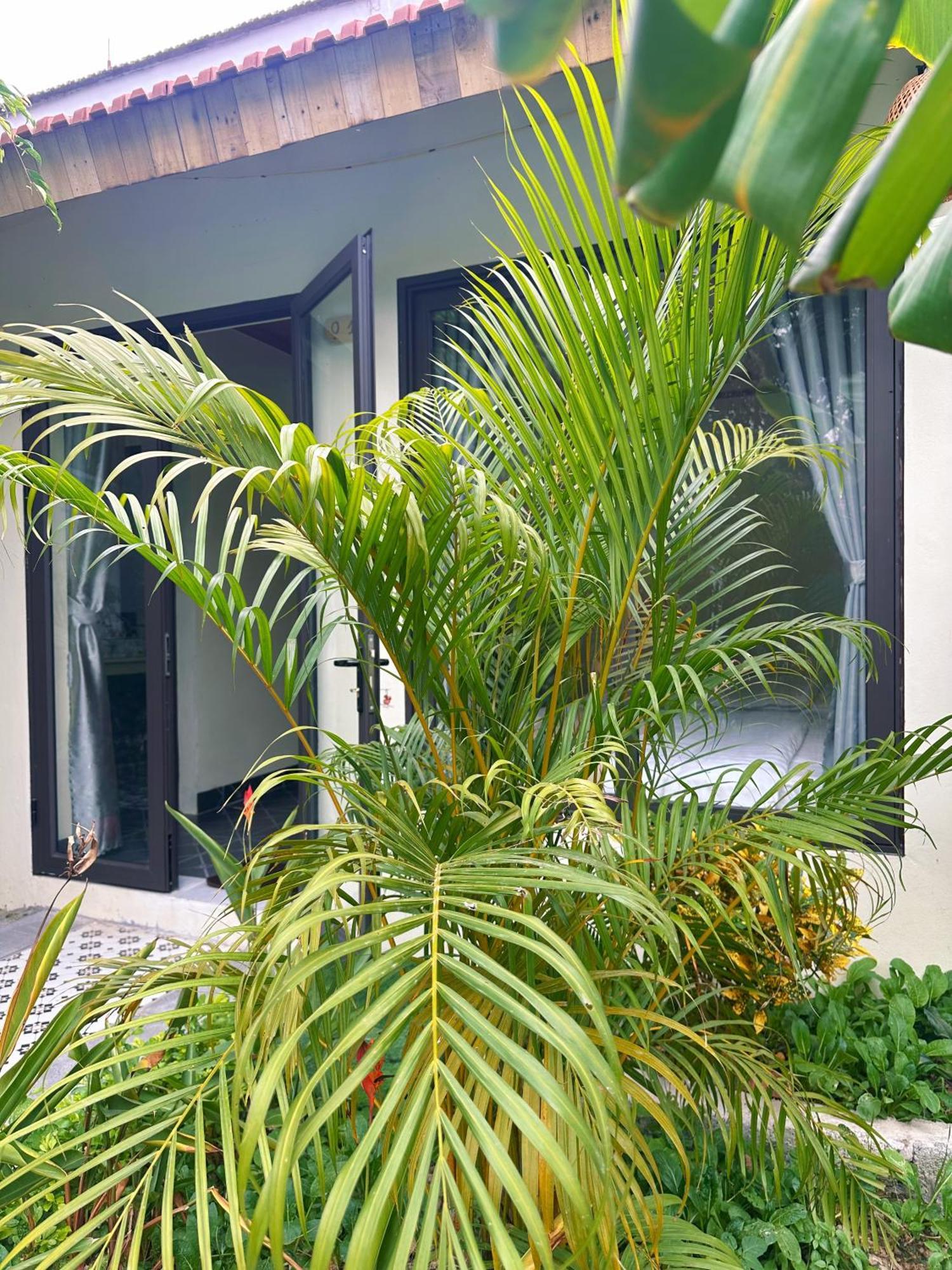 Hang Mua Green Retreat Xuan Son المظهر الخارجي الصورة